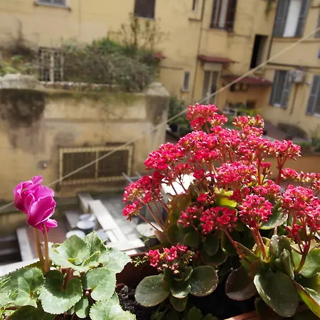 Palladini Hostel *